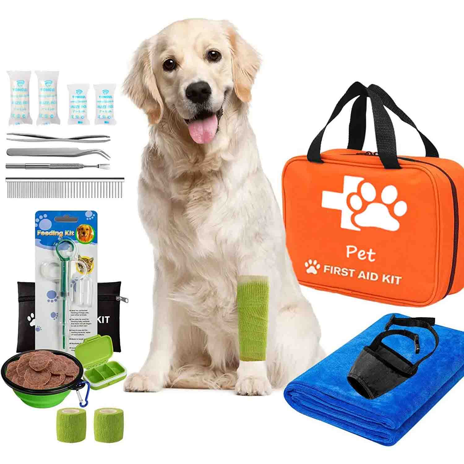 Kit Pertolongan Pertama Kucing